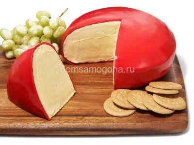 Закваска для сыра "Гауда"