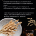 Фальшдно для куба 37 литров